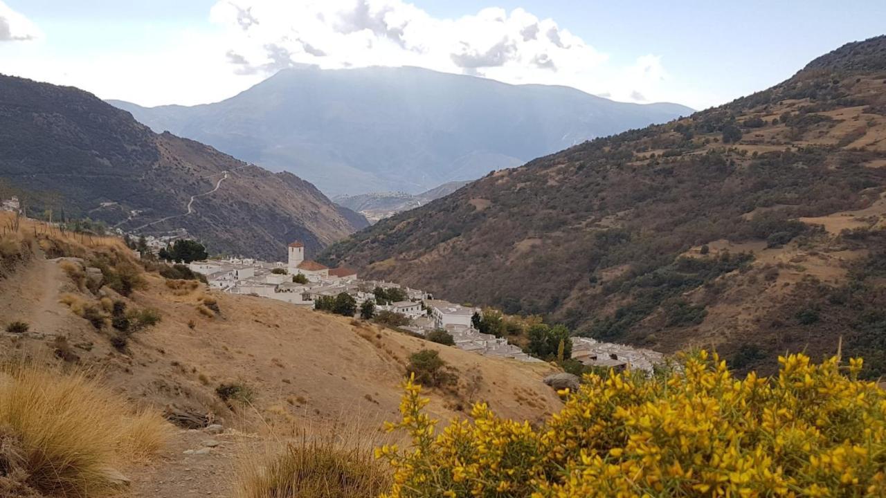 B&B La Granadilla Conchar Bagian luar foto